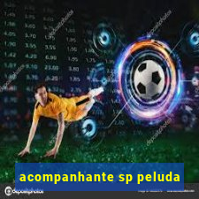 acompanhante sp peluda